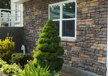 Stone Veneer